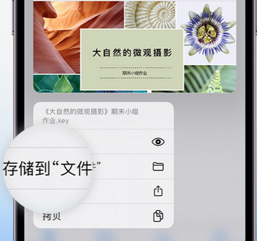 感城镇apple维修中心分享iPhone文件应用中存储和找到下载文件