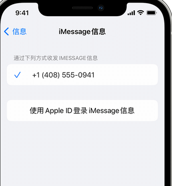 感城镇apple维修iPhone上无法正常发送iMessage信息 