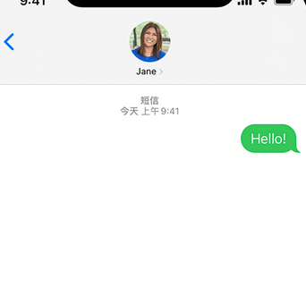 感城镇apple维修iPhone上无法正常发送iMessage信息