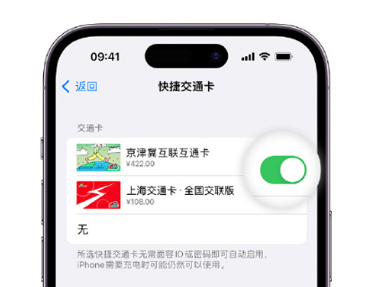 感城镇apple维修点分享iPhone上更换Apple Pay快捷交通卡手绘卡面 