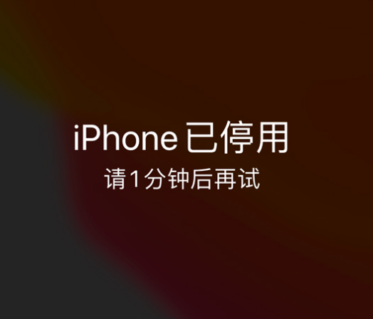 感城镇苹果手机维修分享:iPhone 显示“不可用”或“已停用”怎么办？还能保留数据吗？ 