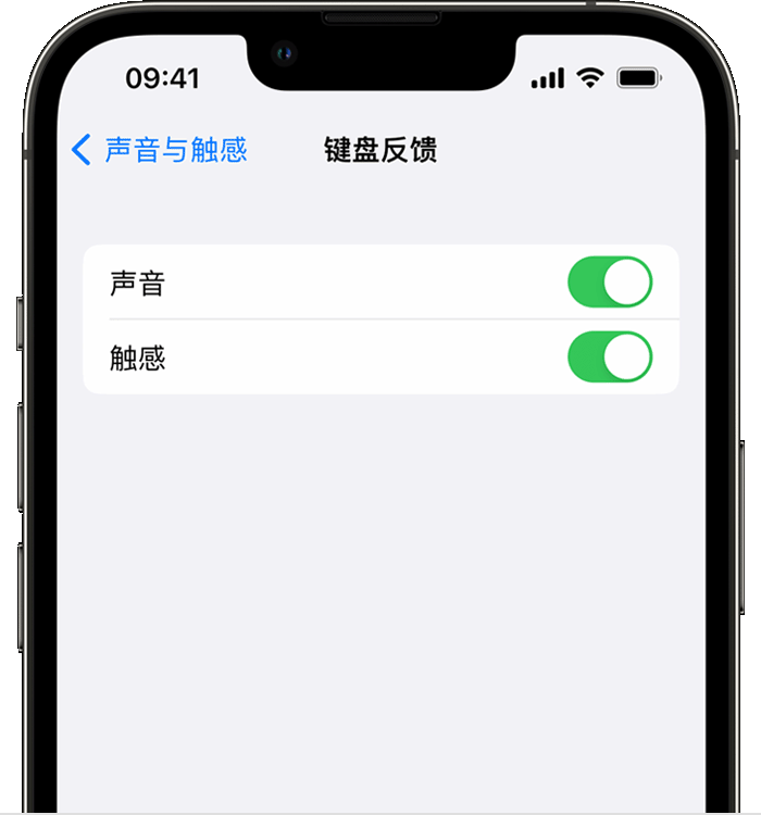 感城镇苹果14维修店分享如何在 iPhone 14 机型中使用触感键盘 