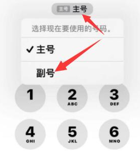 感城镇苹果14维修店分享iPhone 14 Pro Max使用副卡打电话的方法 