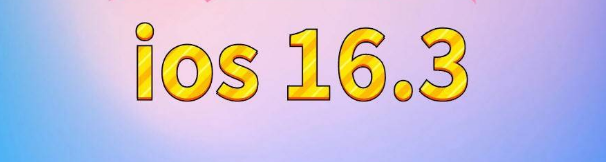 感城镇苹果服务网点分享苹果iOS16.3升级反馈汇总 