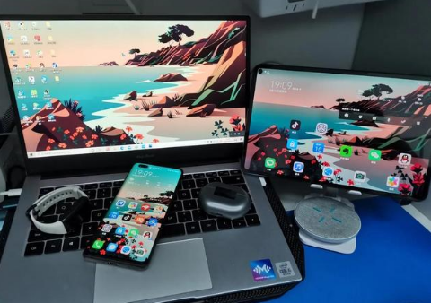 感城镇苹果手机维修分享为什么iPad屏幕更大价格却比iPhone低 