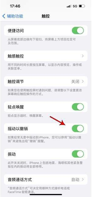感城镇苹果手机维修分享iPhone手机如何设置摇一摇删除文字 